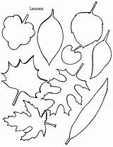 Printable Leaves Fall Coloring Template Popular Leaf sketch template