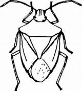 Escarabajos Cereale Bau Plosnita Killer Marmorated Stink Bugs Beetle Kumbang Clipartmag Punaise Clopotel Papier Coklat sketch template