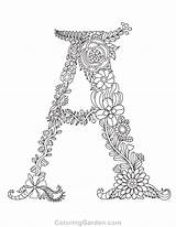 Coloring Letter Pages Adult Floral Alphabet Printable Letters Feather Colouring Adults Coloringgarden Sheets Color Print Books Book Pointillism Getcolorings Doodle sketch template