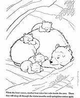 Coloring Bear Animals Pages Sleeping Hibernating Tundra Little Kids Drawing Big Animal Wild Woods Brown Den Color House Printable Smokey sketch template