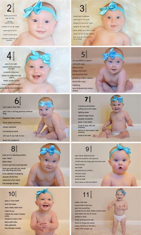 monthly baby     document   milestones