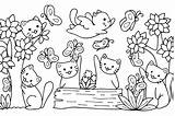 Animali Donnad Stampare Scaricare Domestici sketch template