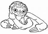 Sloth Coloring Pages Baby Cute Print Tattoo Printable Adult Color Drawing Toed Three Uncolored Getdrawings Getcolorings Luna Size Tattooimages Biz sketch template