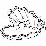 Clam Perla Ostras Oyster Disegnidacoloraregratis Cliparts sketch template