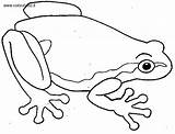Anfibi Disegni Frosch Muster Colorare Immagini Tiere Coloratutto Malvorlage sketch template