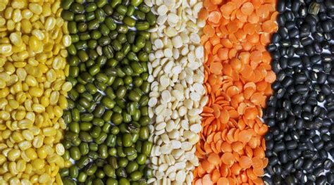 kharif crop high prices  pulses  worry telegraph india