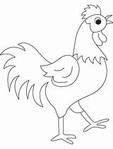 Coloring Rooster Pages Cock Dick Kids Drawing Beautyful Year Color Printable Clipart Clip Library Getcolorings Pic Popular Print Getdrawings Coloringhome sketch template