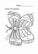 Butterfly Colour Worksheet Preview sketch template