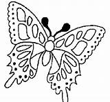 Farfalla Colorare Acolore sketch template