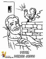 Denies Faithful Rooster Denied Yescoloring Bibel sketch template