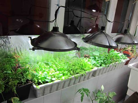 diy indoor organic greenhouse greenmoxie
