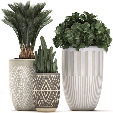 decorative plants  flower pots   interior  model max obj  xxx hot girl