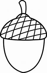 Acorn Clipart Coloring Library Clip sketch template