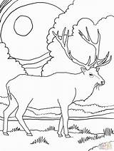 Coloring Elk Mountain Pages Rocky Printable Drawing Scenery Mountains Color Daily Deer Head Simple Supercoloring Bull Colouring Online Kids Animal sketch template