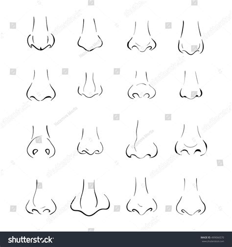 nose shapes  names