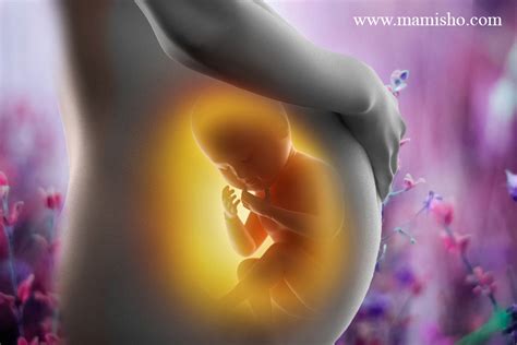 انواع روشهای تعیین جنسیت نوزاد قبل از بارداری مامی شو