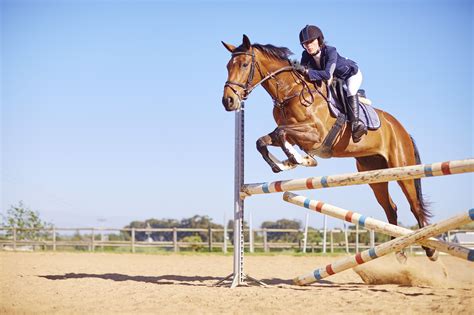 introduction  jumping  horseback riding