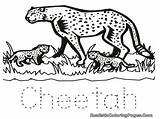 Cheetah Coloring Baby Pages Cute Drawing Draw Line Kids Getdrawings Comments sketch template