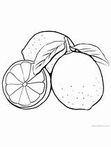 Lime Lemons Limes Gaddynippercrayons sketch template