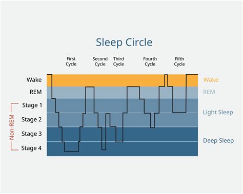 stages  sleep rem   rem sleep cycles simply psychology