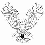 Hawk Tattoo Line Drawing Eagle Flying Wings Simple Outline Hawthorn Red Clipart Hawks Coat Arms Pages Coloring Afl Tail Flight sketch template