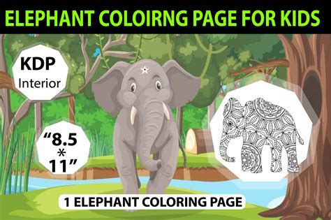 elephant coloring pages  preschool