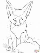 Fox Coloring Pages Cute Baby Fennec Realistic Drawing Color Printable Clipart Anime Grey Popular Getdrawings Library Template Supercoloring Coloringhome Super sketch template