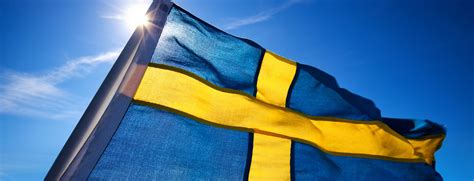 illegal  sweden study  sweden
