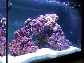 saltwater tank aquascape aquascaping forum nano reef community