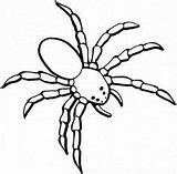 Colouring Spiders Spide Netart sketch template