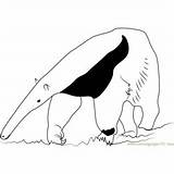 Anteater Ant sketch template