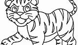 Tigre Tigris Panthera Famille sketch template