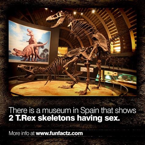 There Is A Museum In Spain That Shows 2 T Rex Skeletons