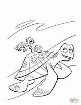 Nemo Crush Finding Colorir Procurando Dory Ausmalbilder Buscando Ausmalbild Catches Luzak Druku Coloriage Tortuga żółw Lucilene Imprimer Marlin Coloriages sketch template