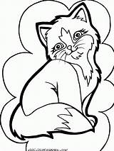 Coloring Kitten Cat Pages Adults Sheet Popular sketch template