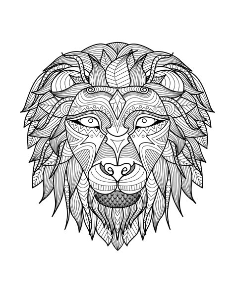 africa lion head  africa adult coloring pages