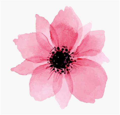 flower flowers paint paintings draw drawing pink watercolor