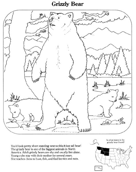 grizzly bear educationcoloringpagesendangeredspeciesgrizzly
