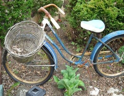 garden bike bike garden bicycle