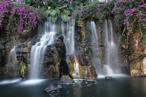 hilton grand wailea waterfall   trip  escape winte flickr