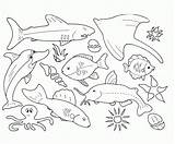 Sea Coloring Creatures Printable Pages Kids Life Popular sketch template