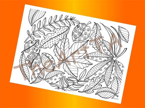 autumn leaves colouring sheet teaching resources