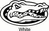 Florida Gators Logo Drawing Gator Silhouette Car Coloring Decal Pages Template Vinyl Sticker Getdrawings Drawings Paintingvalley Sketch sketch template