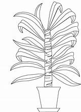 Cane Plant Coloring sketch template