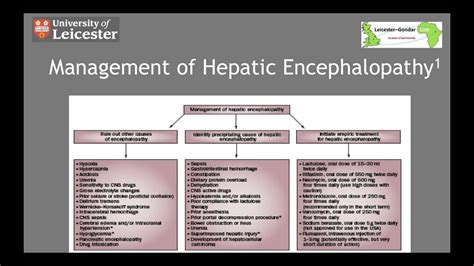 management  hepatic encephalopathy   minutes youtube