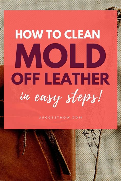 clean mold  leather unugtp