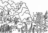 Coloring Pages Ecosystem Reef Coral Ocean Barrier Great Drawing Ecology Fish Getcolorings Getdrawings Color Colorings sketch template