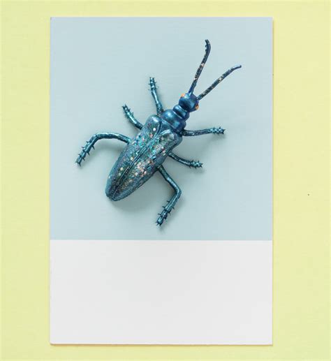 gambar abstrak hewan apper latar belakang biru kesalahan kartu