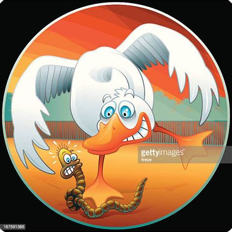 bird worm cartoon   premium high res pictures getty images