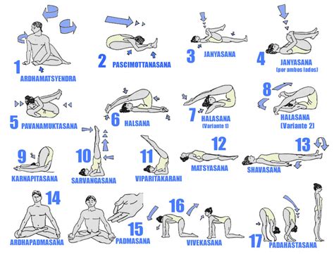 hatha yoga poses beginners work  picture media work  picture